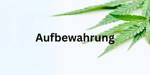 grüne Blätter ragen ins Bild, dazu in schwarzer Schrift das Wort "Aufbewahrung"