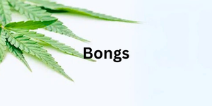 grüne Blätter ragen ins Bild, dazu in schwarzer Schrift das Wort "Bongs"