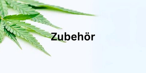 grüne Blätter ragen ins Bild, dazu in schwarzer Schrift das Wort "Zubehör"